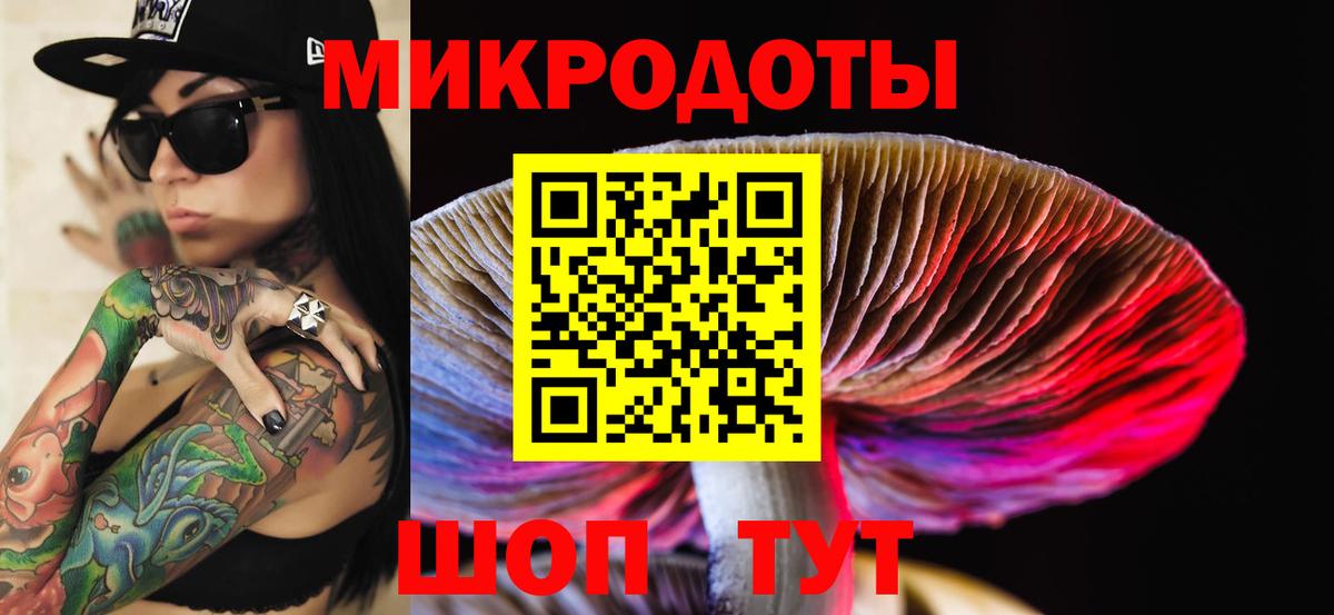 Чебаркуль  Псилоцибиновые грибы мицелий  Псилоцибиновые грибы Cubensis  Вход с VPN 